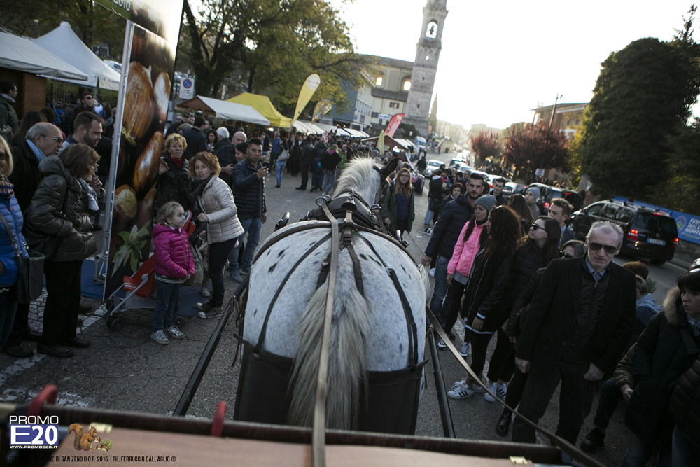 2016_009095_Festa_del_marrone_2016