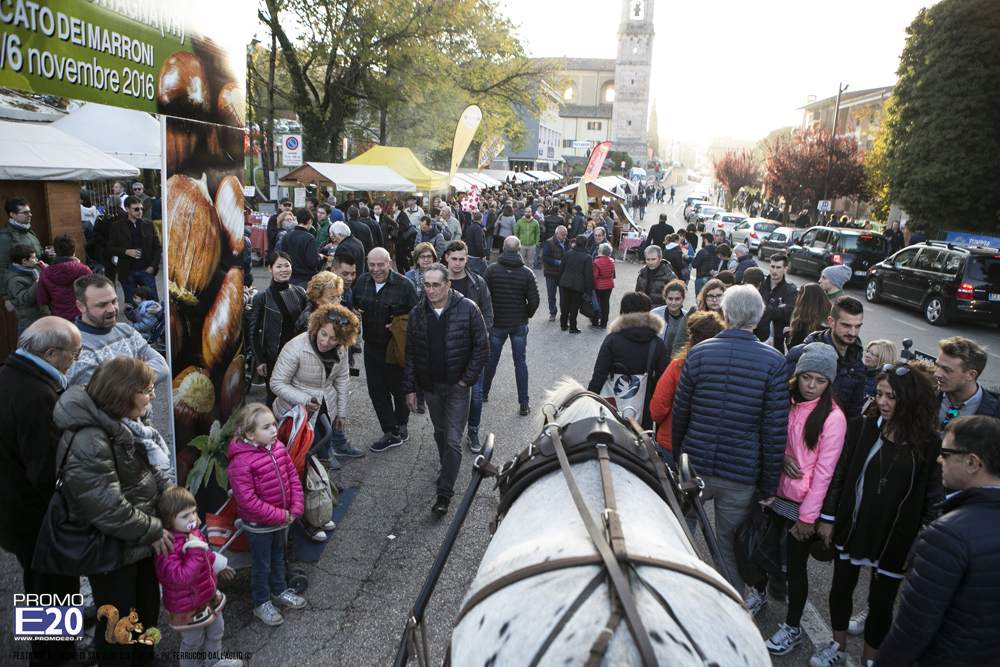 2016_009098_Festa_del_marrone_2016