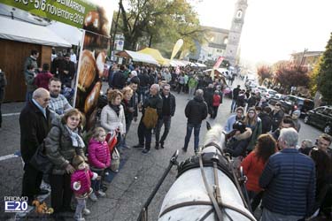 2016_009097_Festa_del_marrone_2016