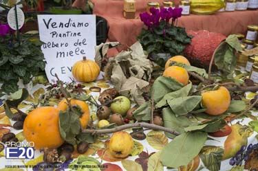 2017-Festa-Del Marrone-2017-283