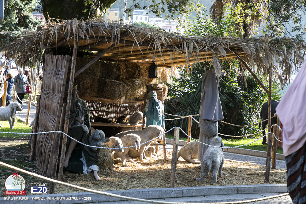 GardaFraGliUlivi-2018-0020