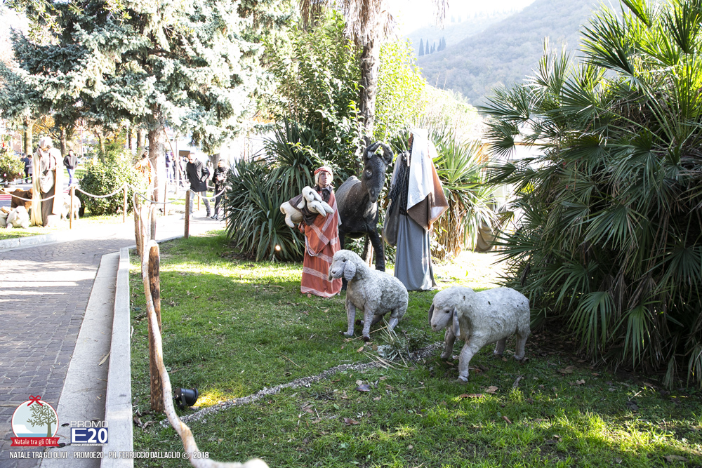 GardaFraGliUlivi-2018-0021