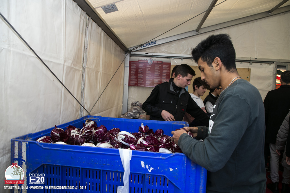 GardaFraGliUlivi-2018-0234