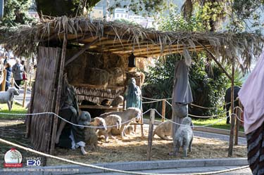 GardaFraGliUlivi-2018-0020