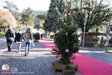 GardaFraGliUlivi-2018-0264
