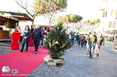 GardaFraGliUlivi-2018-0329