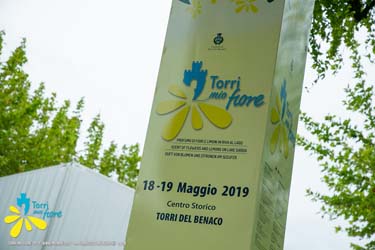 2019 -Torri-Mio-Fiore-0712