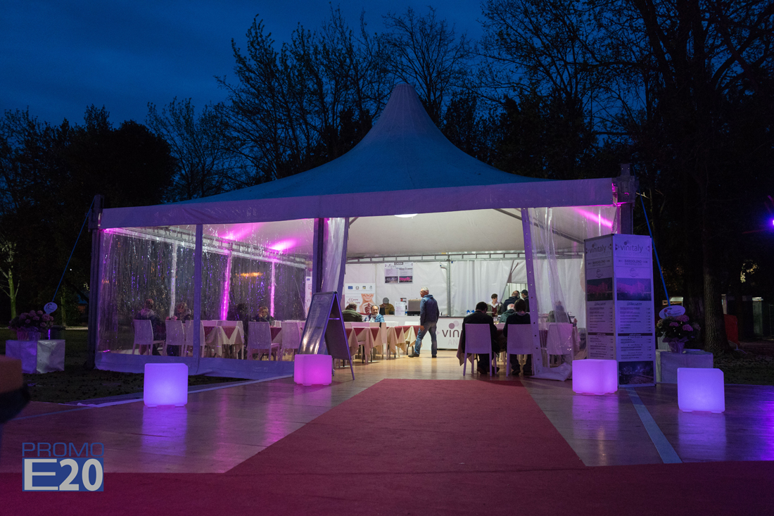 Vinitaly-and-the-City-Bardolino-33