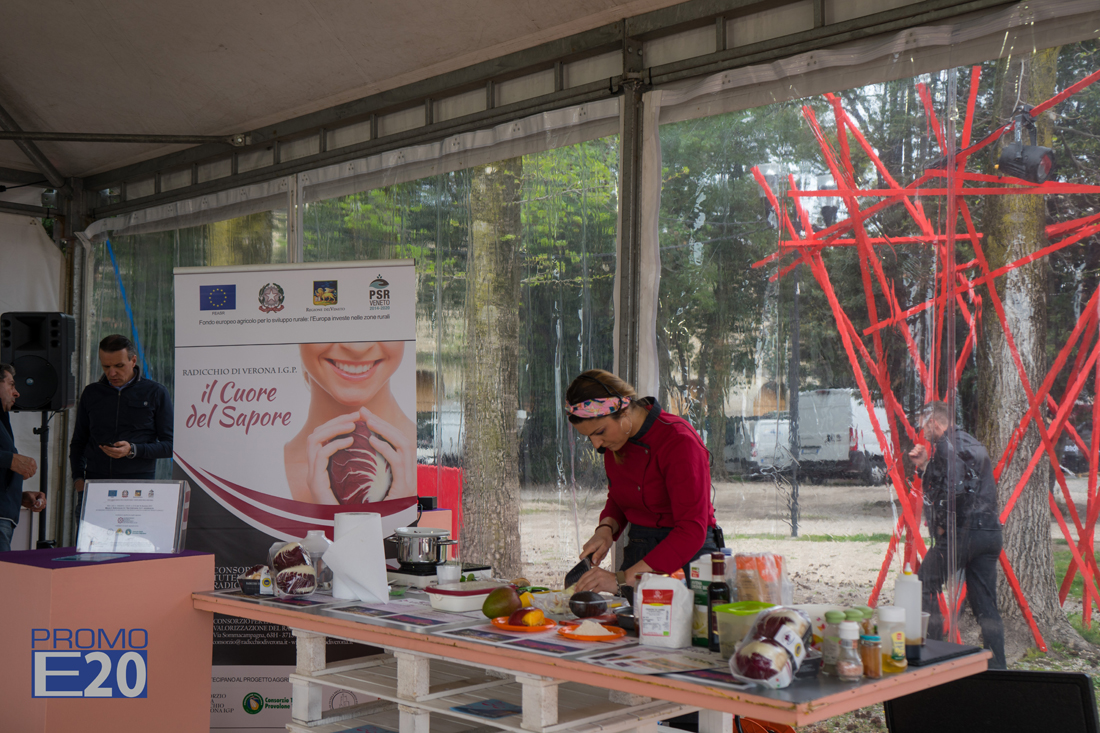 Vinitaly-and-the-City-Bardolino-35