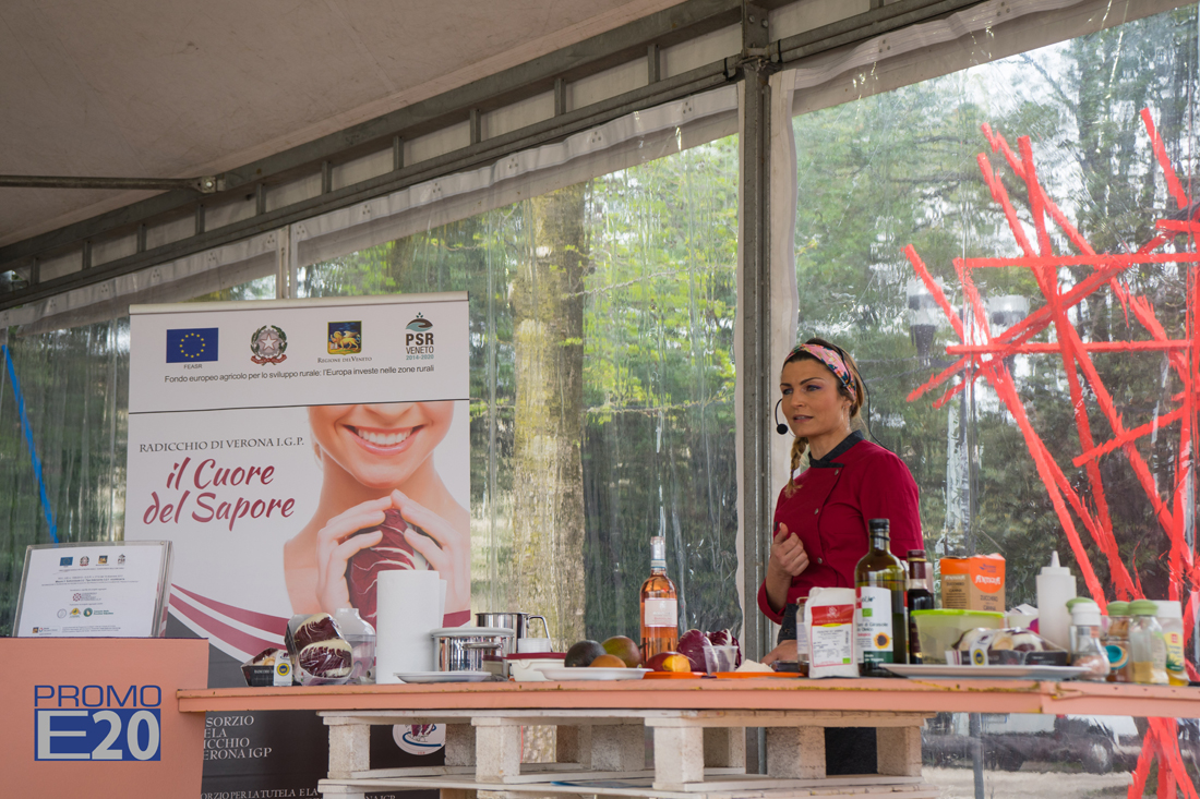 Vinitaly-and-the-City-Bardolino-38