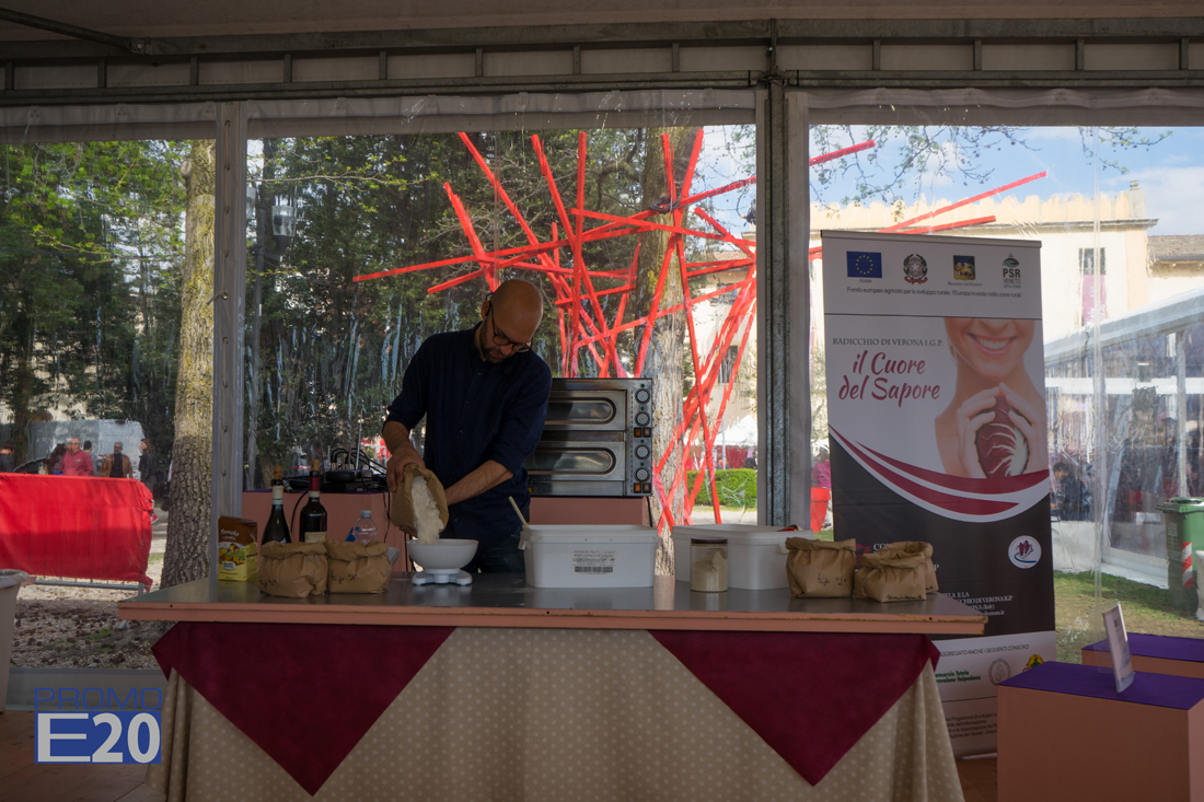 Vinitaly-and-the-City-Bardolino-69