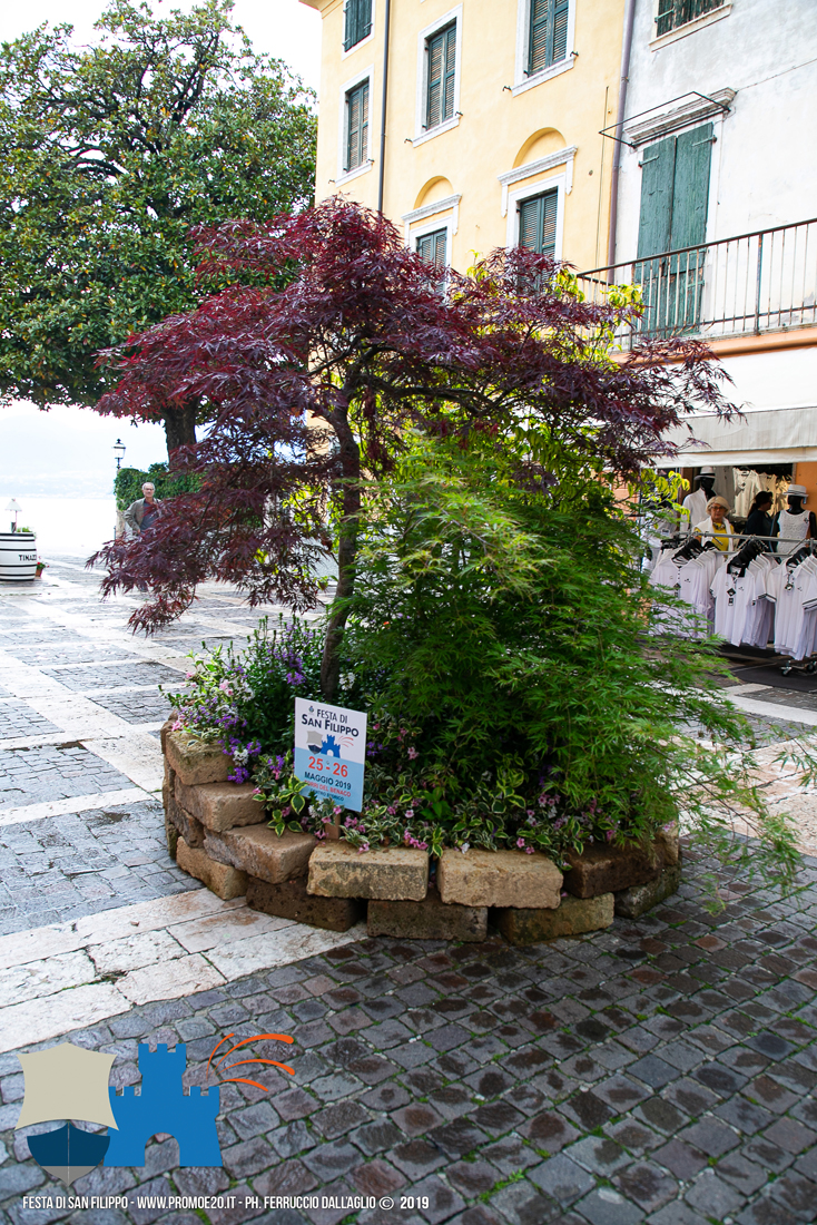 2019 - Festa Di San Filippo-0703