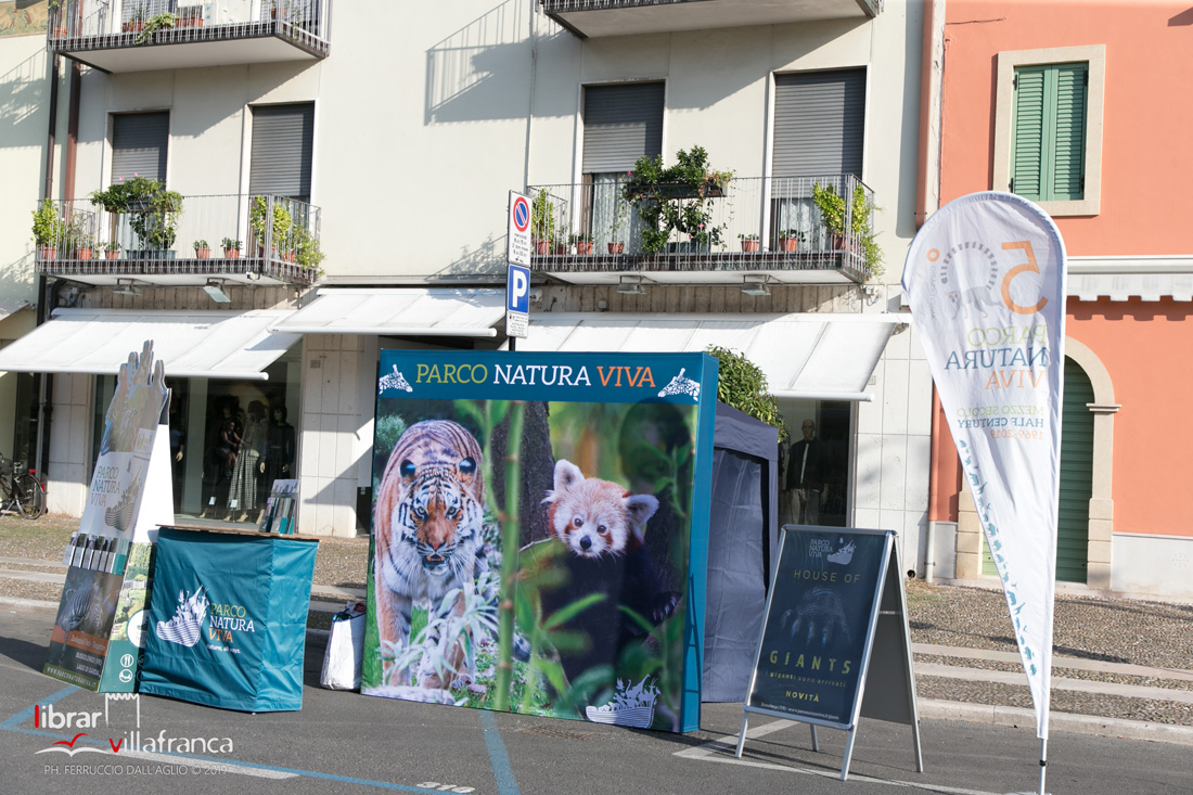 Librar Villafranca-0389