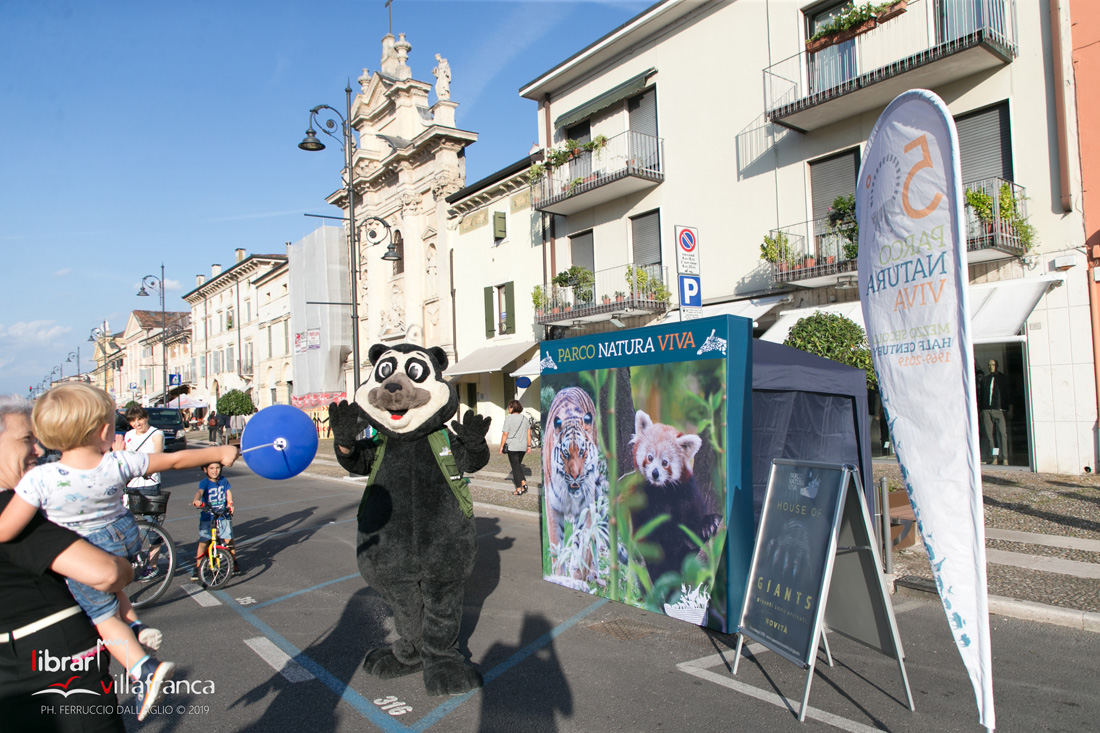 Librar Villafranca-0437