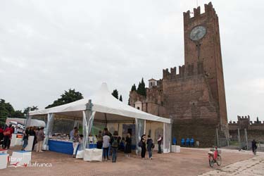 Librar Villafranca-0075