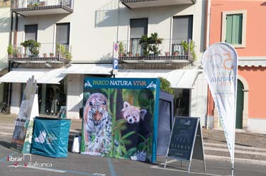 Librar Villafranca-0389