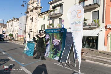 Librar Villafranca-0436