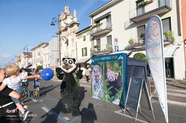 Librar Villafranca-0437
