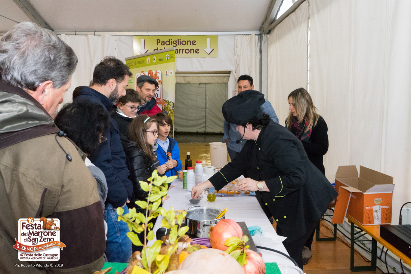 FDMSZ2019_329