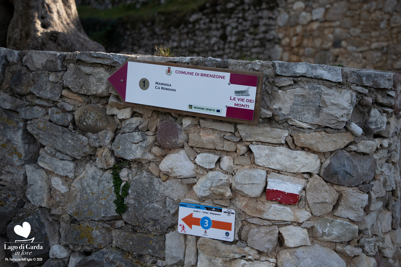 LDGIL2020-0282