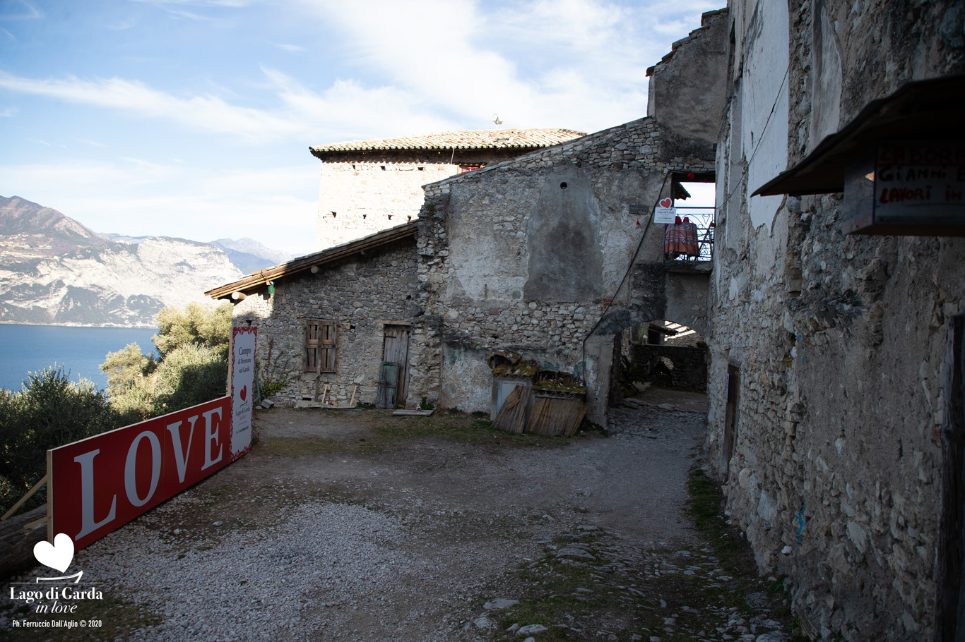 LDGIL2020-0294