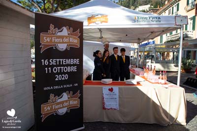 LDGIL2020-0185
