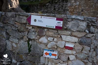 LDGIL2020-0282