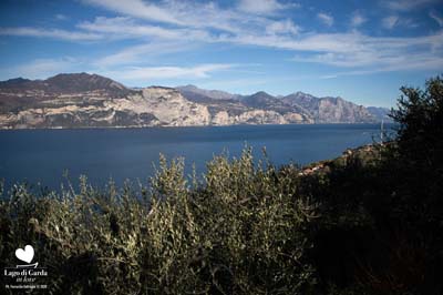LDGIL2020-0284