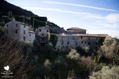 LDGIL2020-0286