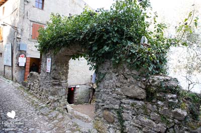 LDGIL2020-0288