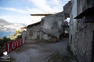LDGIL2020-0294