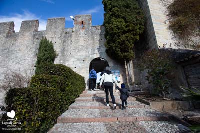 LDGIL2020-0336