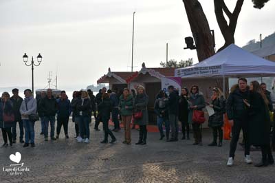 LDGIL2020-0537