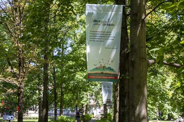 2022-LibrarCornedo-0483