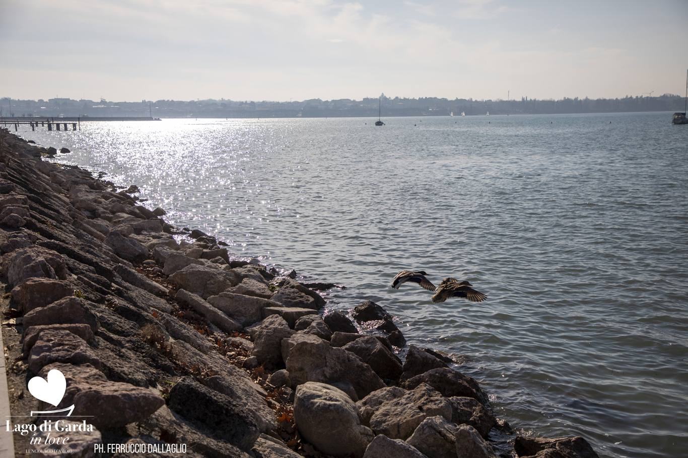 LagoDiGardaInLove2023_0126