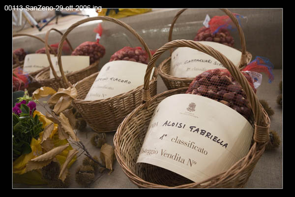 00113-SanZeno-29-ott-2006