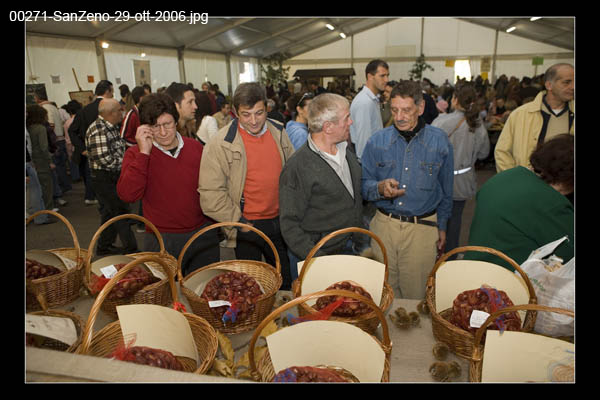 00271-SanZeno-29-ott-2006