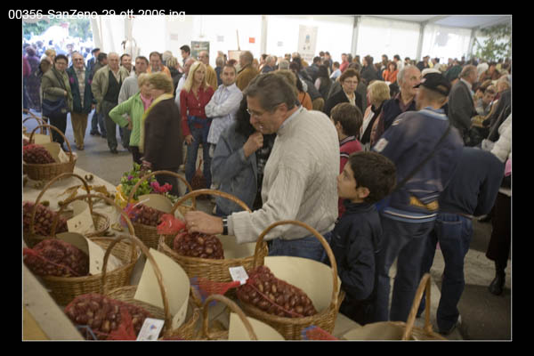 00356-SanZeno-29-ott-2006