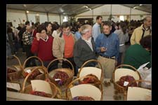 00271-SanZeno-29-ott-2006