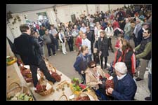00349-SanZeno-29-ott-2006