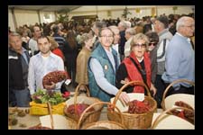 00359-SanZeno-29-ott-2006