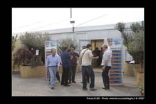 FestaSanMarco_01556