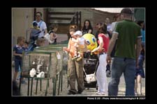 FestaSanMarco_01572
