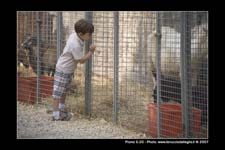 FestaSanMarco_01574