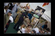 FestaSanMarco_01647