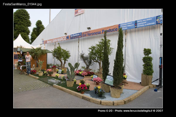 FestaSanMarco_01944
