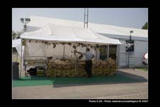FestaSanMarco_01894