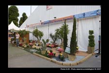 FestaSanMarco_01944