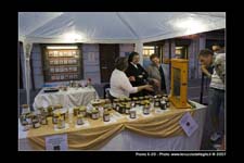 FestaSanMarco_02014