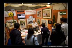 00440-SanBonifacio-25-Apr-2008
